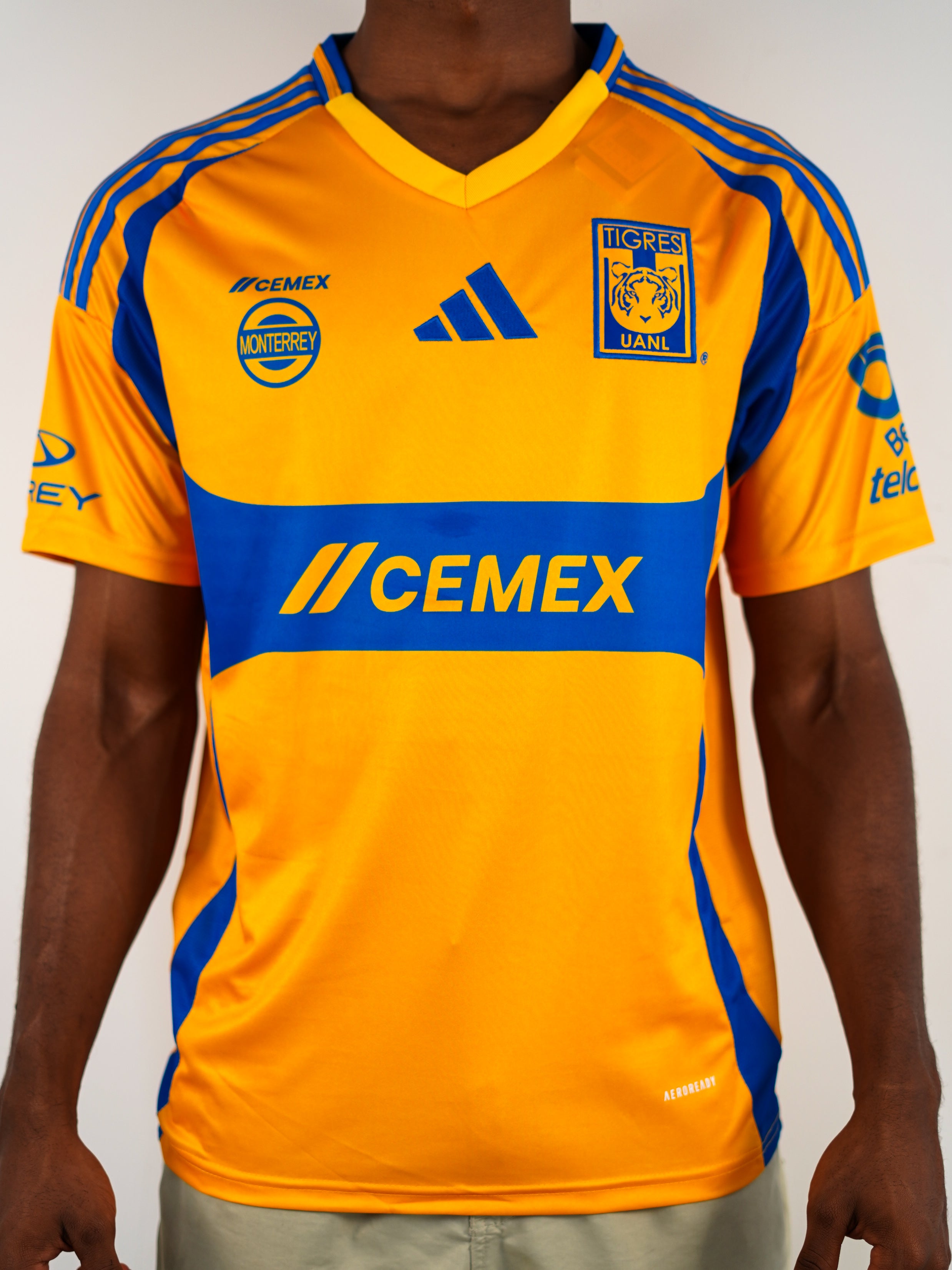 Tigres Amarilla Fan